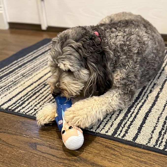 Spot latex dog toy with squeaker Joe Biden
