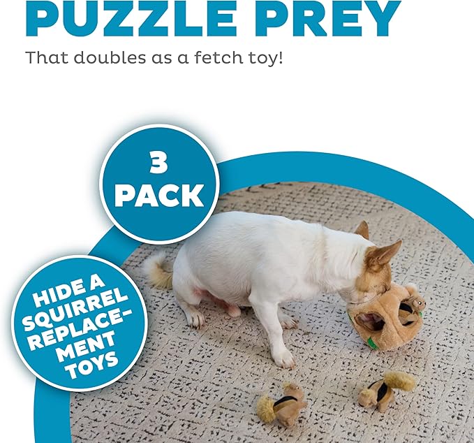 Squeakin squirrels outward 3 pack plush toys dog toy