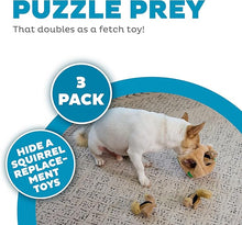 Squeakin squirrels outward 3 pack plush toys dog toy