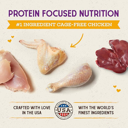 Stella and Chewy’s freeze dried ra w coated kibble chicken recipe for cats