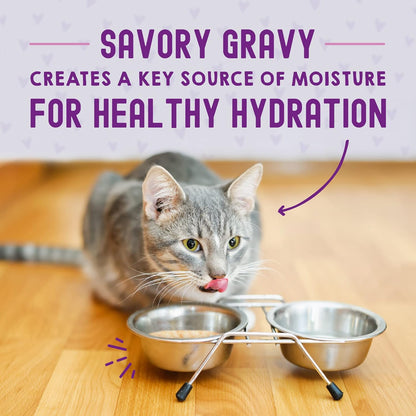 STELLA & CHEWY'S CRAVINGS MORSELS WITH GRAVY CAT FOOD 2.8 OZ - CHICKEN & CHICKEN LIVER