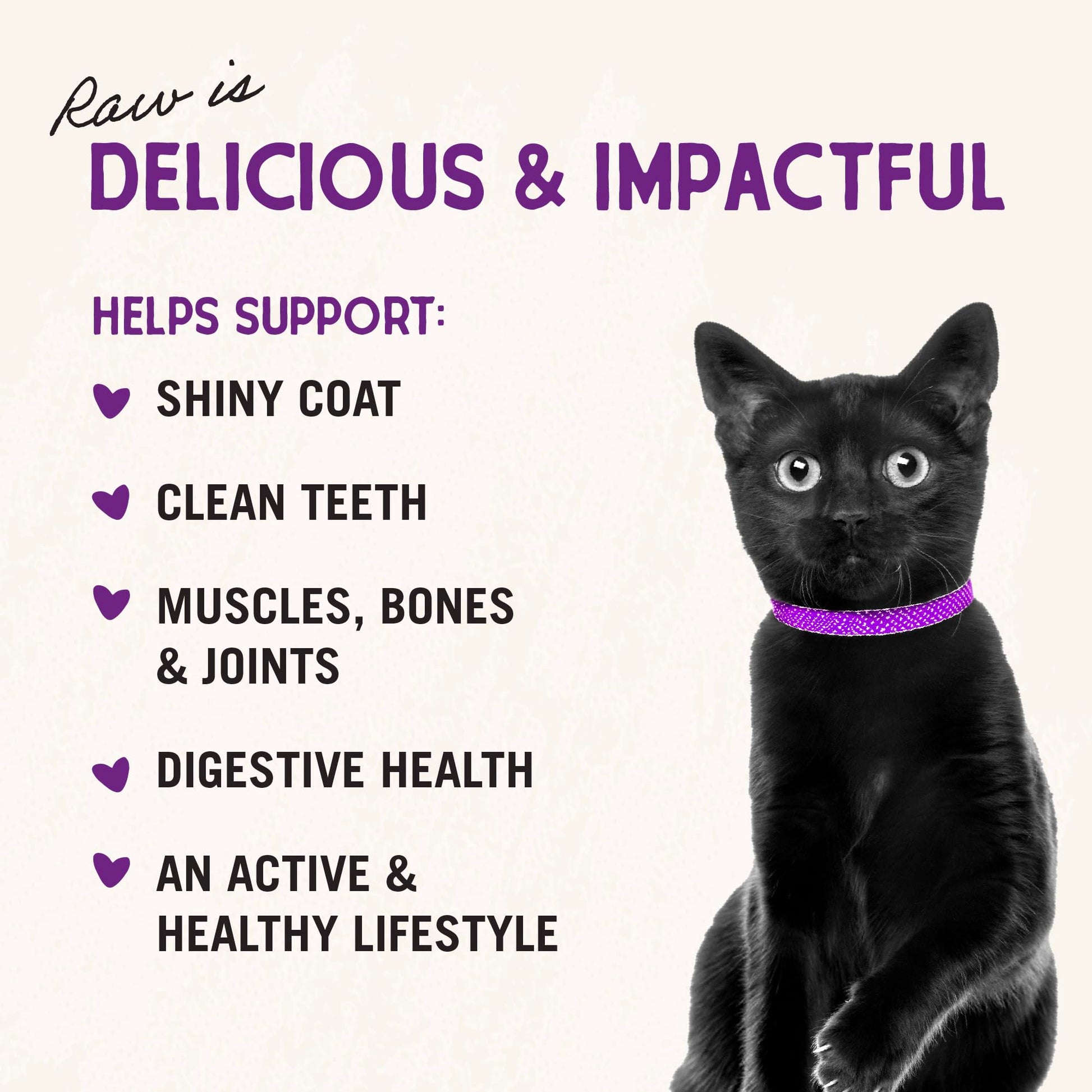 Stella & Chewy's Freeze - Dried Raw Cat Dinner Morsels – Grain Free, Protein Rich Cat & Kitten Food – Chick Chick Chicken Recipe – 3.5 oz Bag