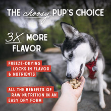 Stella & Chewy's Freeze Dried Raw Dandy Lamb Meal Mixer – Dog Food Topper for Small & Large Breeds – Grain Free, Protein Rich Recipe – 18 oz Bag