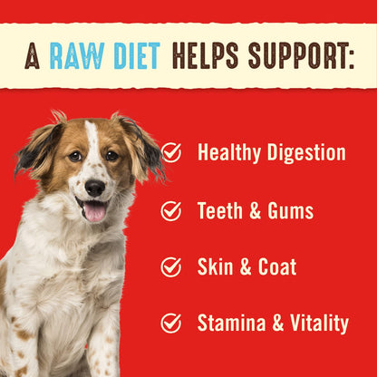 Stella & Chewy's Freeze Dried Raw Dinner Patties | Dandy Lamb Recipe | 14 oz Bag