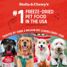 Stella & Chewy's Freeze Dried Raw Dinner Patties – Grain Free Dog Food, Protein Rich Tantalizing Turkey Recipe – 5.5 oz Bag