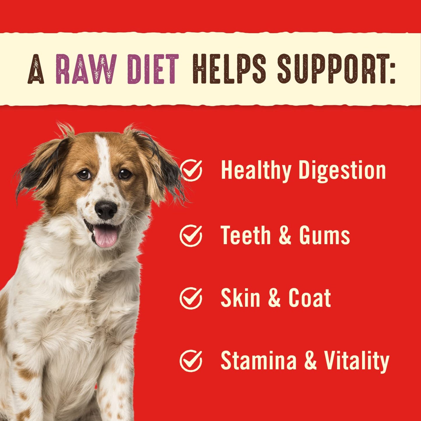Stella & Chewy's Freeze Dried Raw Dinner Patties | Tantalizing Turkey Recipe | 14 oz Bag