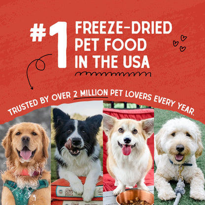 Stella & Chewy's Freeze Dried Raw Duck Duck Goose Meal Mixer – Dog Food Topper for Small & Large Breeds – Grain Free, Protein Rich Recipe – 3.5 oz Bag