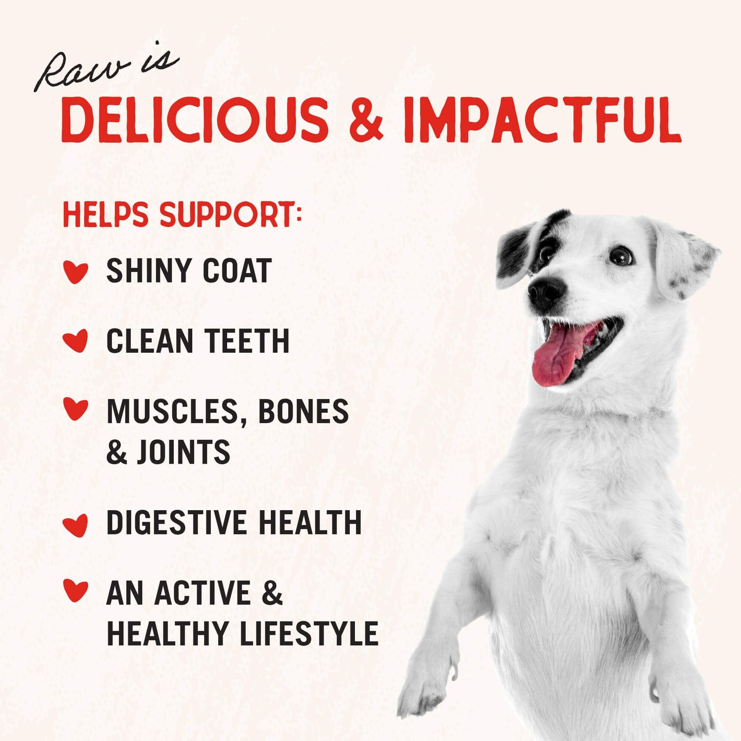 Stella & Chewy's Freeze - Dried Raw Single Ingredient Beef Liver Treats, 3 oz. Bag
