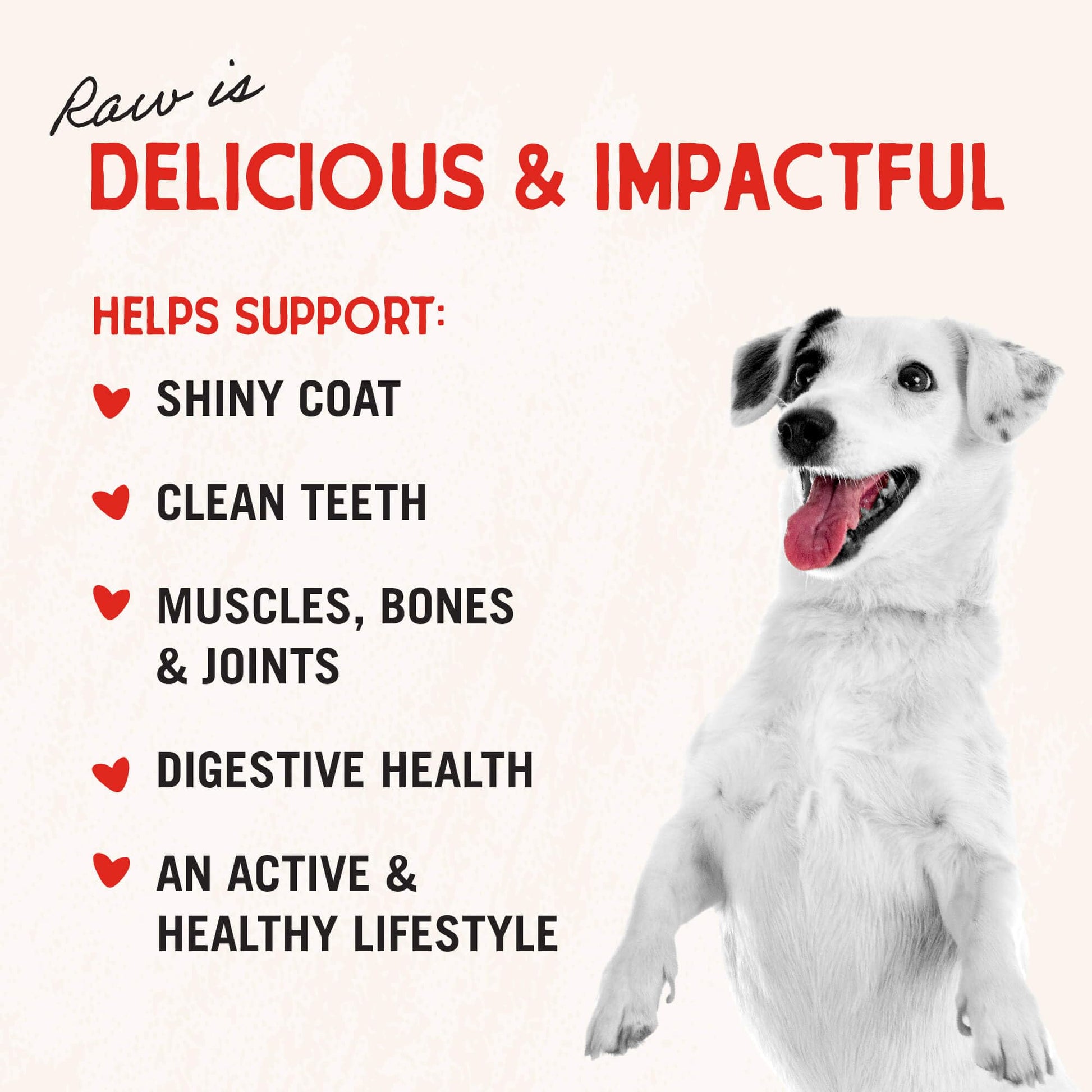 Stella & Chewy's Freeze - Dried Raw Single Ingredient Beef Liver Treats, 3 oz. Bag