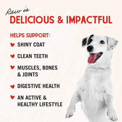 Stella & Chewy's Freeze - Dried Raw Single Ingredient Chicken Hearts Dog Treats, 3 oz. Bag