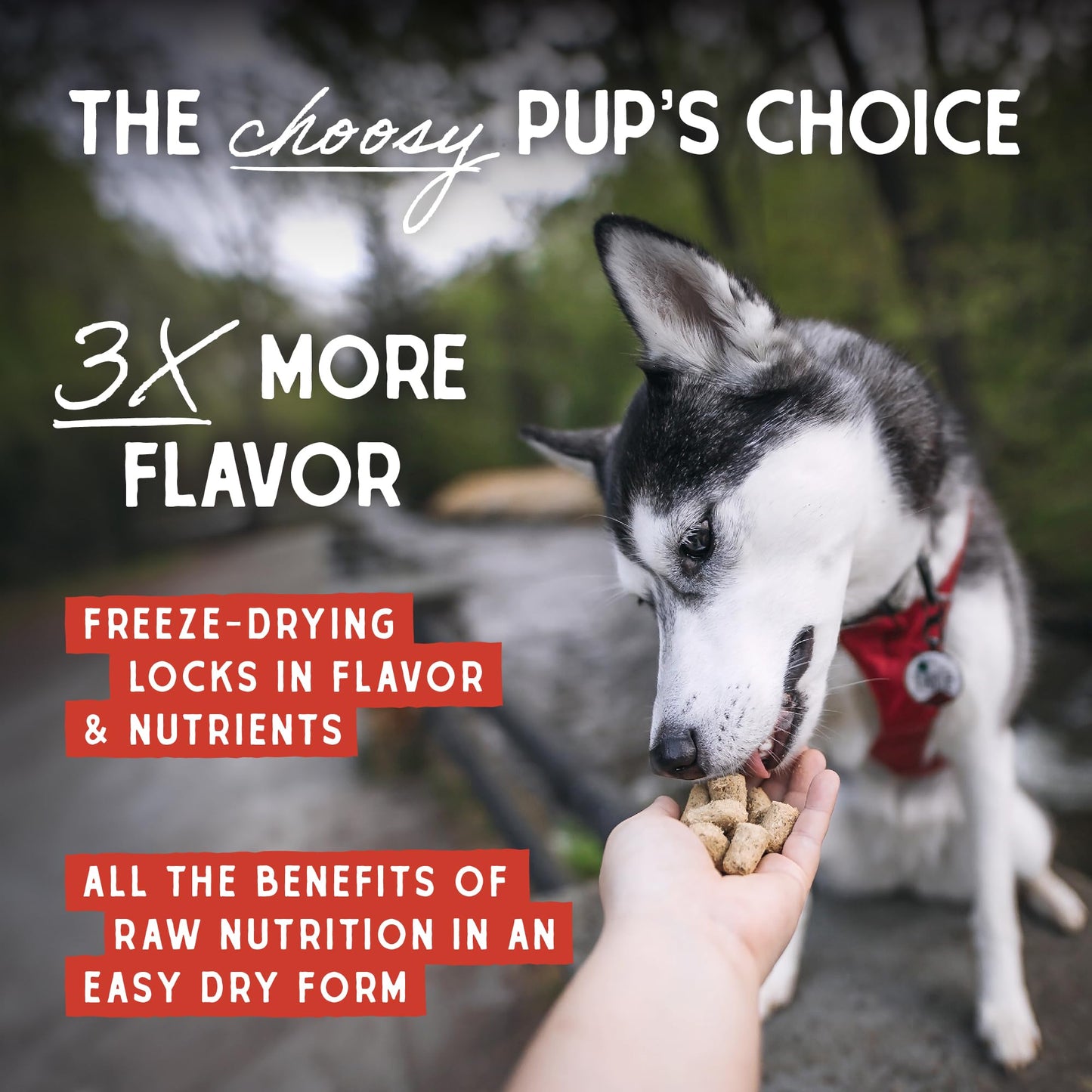 Stella & Chewy's Freeze Dried Raw Surf & Turf Meal Mixer – Dog Food Topper for Small & Large Breeds – Grain Free, Protein Rich Recipe – 8 oz Bag