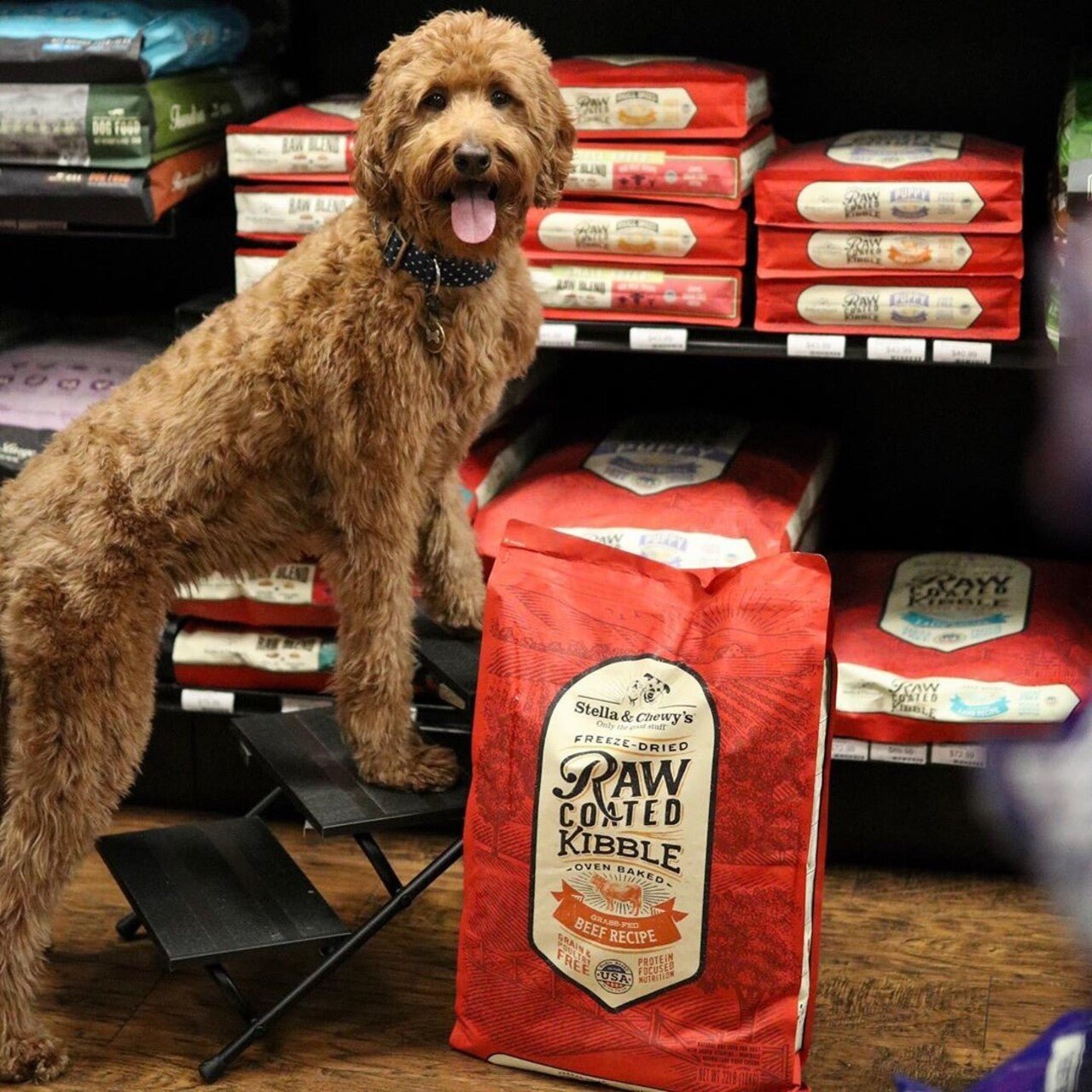 Stella & Chewy's Raw Coated Beef Recipe Dog Food | Grain - Free Kibble (22 lb)