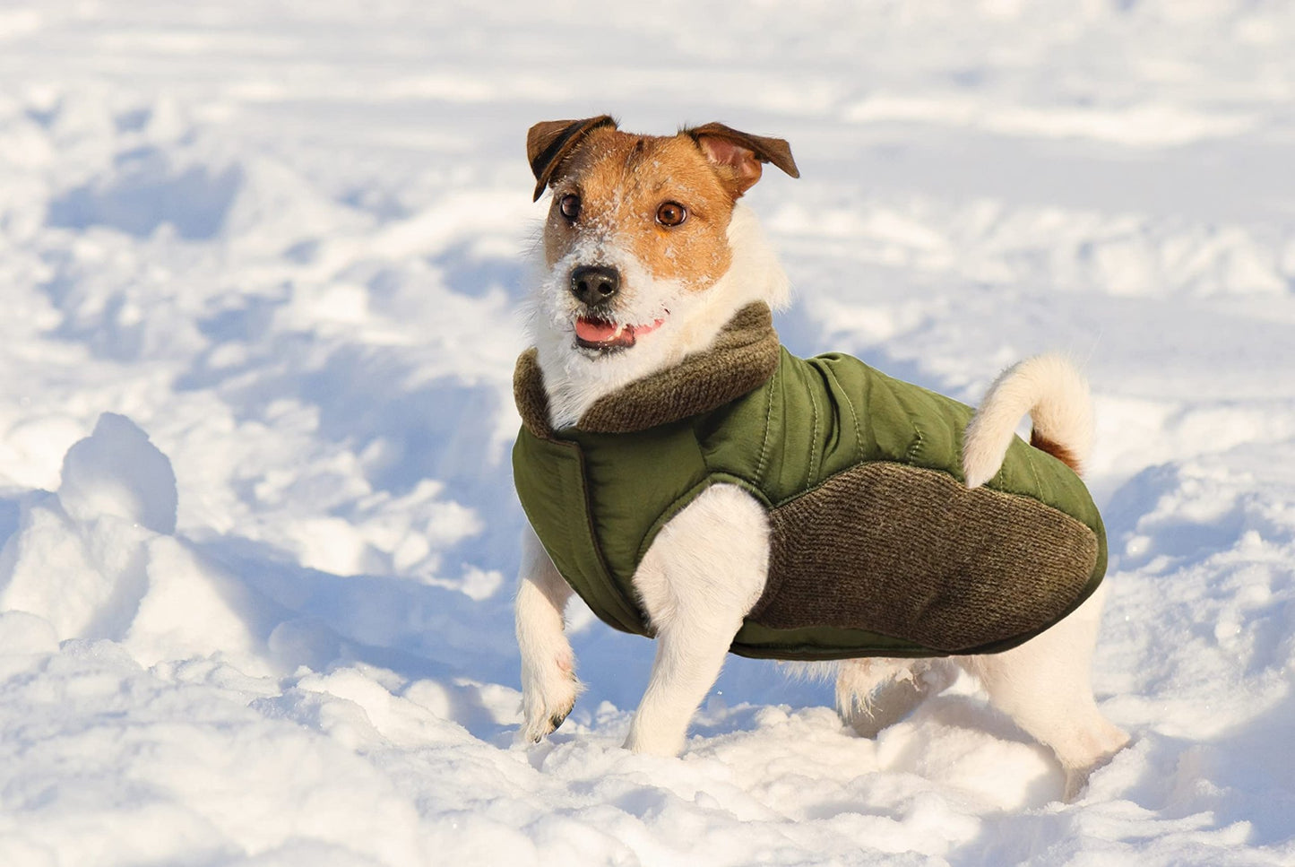 /Sweater Trim Puffy Coat/Dog Coat/Olive/Large