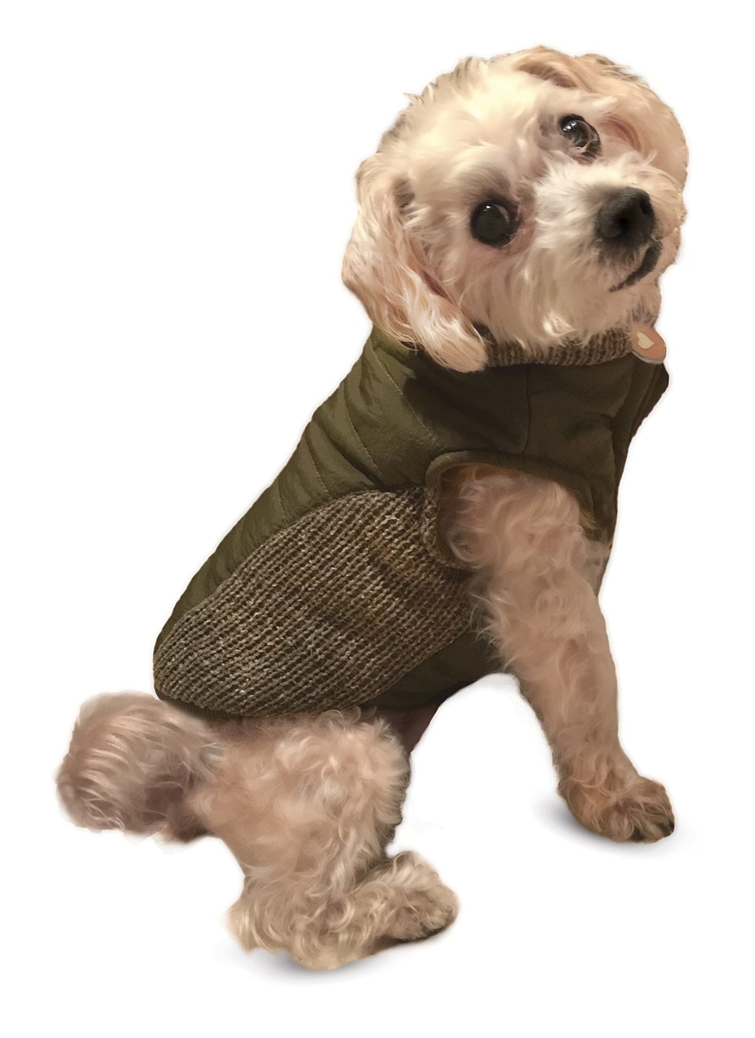 /Sweater Trim Puffy Coat/Dog Coat/Olive/Large