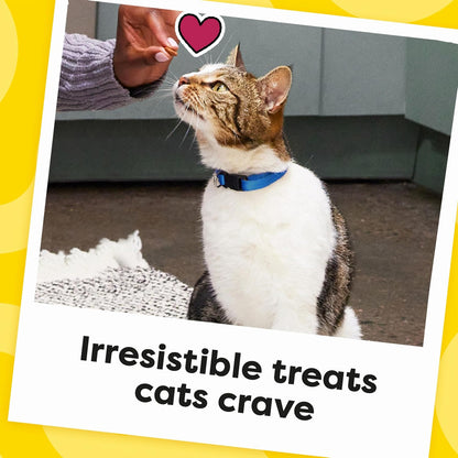 Temptation value size 16 ounces cat treats