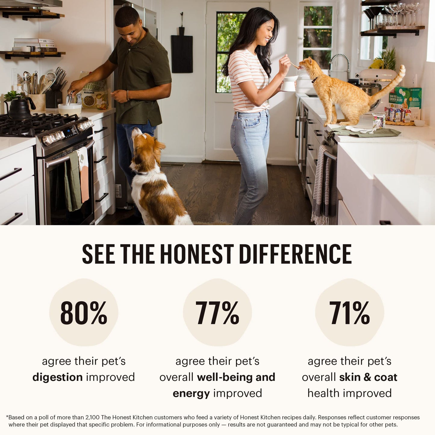 The Honest Kitchen Whole Food Clusters Whole Grain Chicken & Oat Dry Dog Food – Human - Grade, Nutrient - Rich Recipe – 5 lb Bag