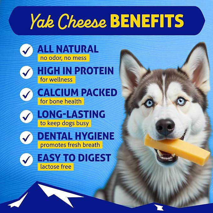 The original Himalayan dog chew medium cheese