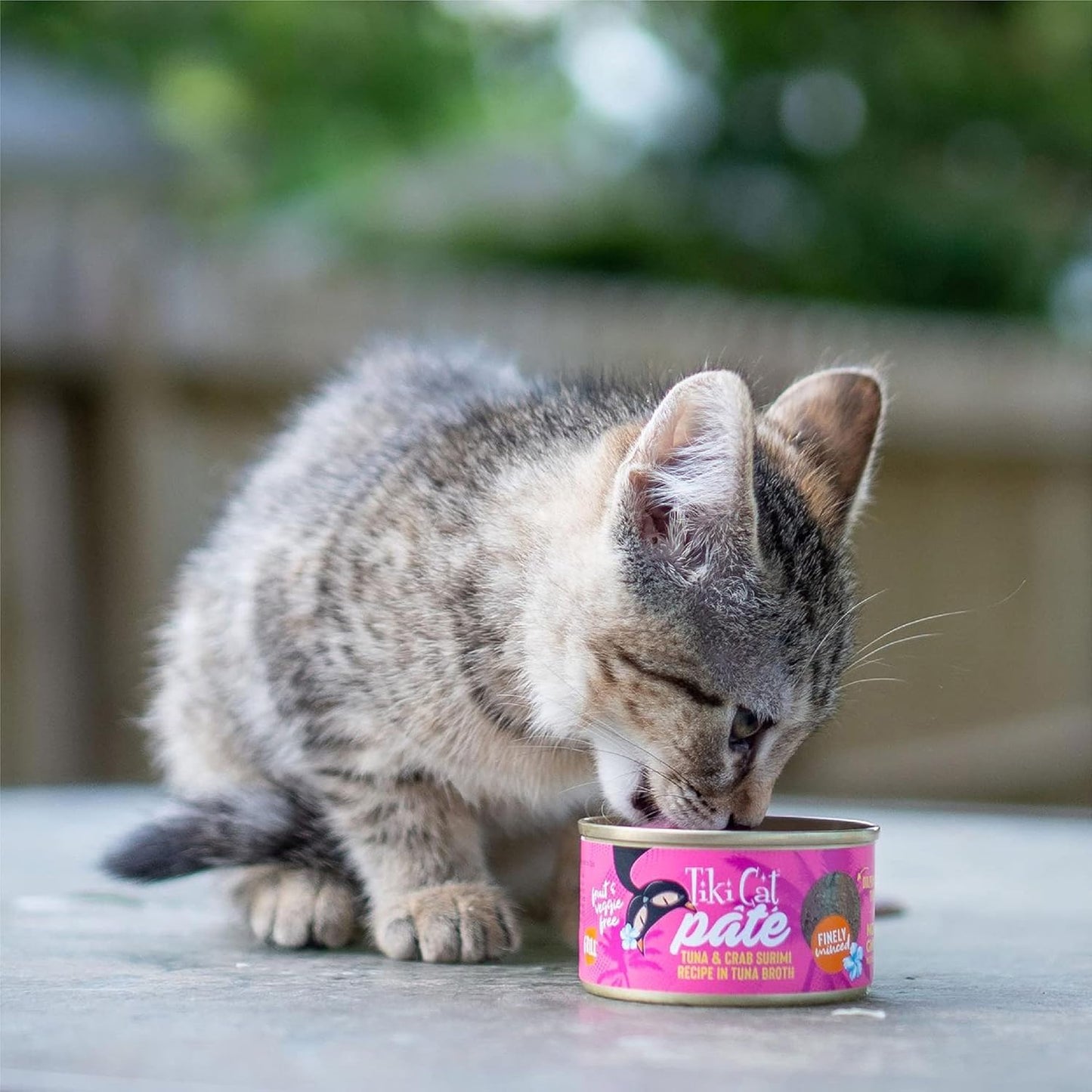 Tiki cat pate tuna and crab sumiri in tuna broth
