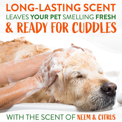 TropiClean Citrus & Neem Oil Flea Shampoo for Dogs - Tick and Flea Bite Relief for Dogs - 20 oz