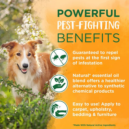 TropiClean Natural Flea and Tick Spray for Home - Maximum Strength Flea Spray for Carpet and Furniture - 32oz