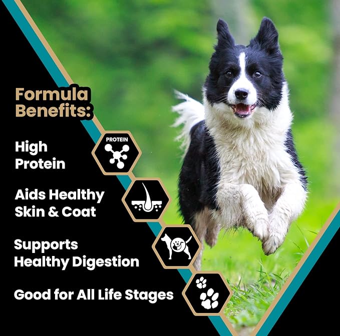 Victor hi pro plus for active dogs and puppies kibble 5 lbs