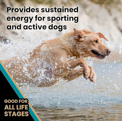Victor hi pro plus for active dogs and puppies kibble 5 lbs