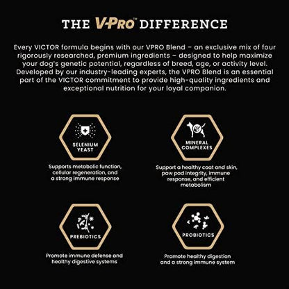 Victor hi pro plus for active dogs and puppies kibble 5 lbs