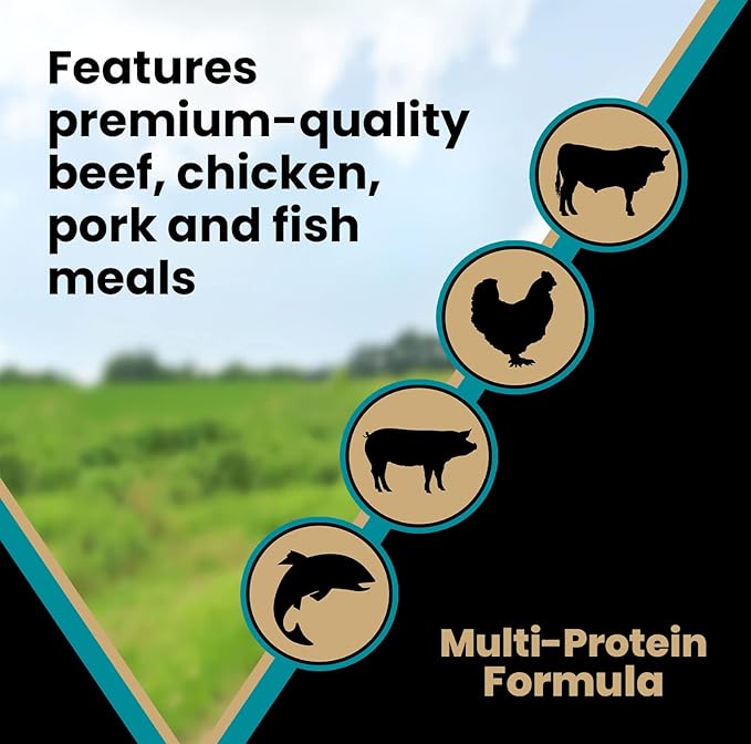 Victor hi pro plus for active dogs and puppies kibble 5 lbs