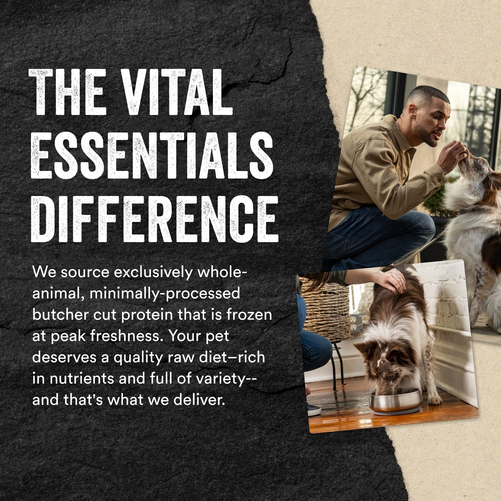 Vital Essentials Freeze Dried Raw Single Ingredient Dog Treats, Chicken Breast, 3.75 oz | Premium Quality High Protein Training Treats | Grain Free, Gluten Free, Filler Free