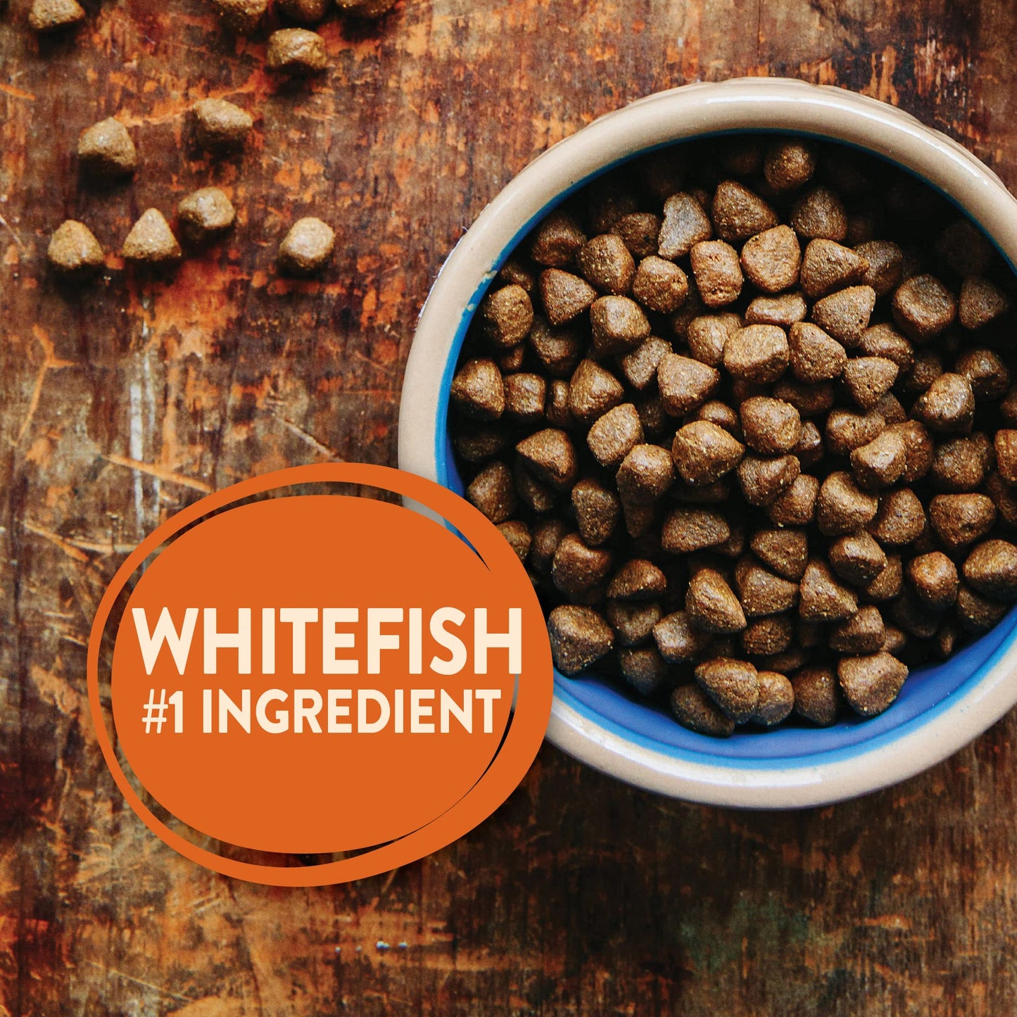 Wellness Core Grain - Free High - Protein Dry Dog Food – Ocean Whitefish, Herring & Salmon Recipe, 4 lb Bag | Natural Ingredients for Adult Dogs
