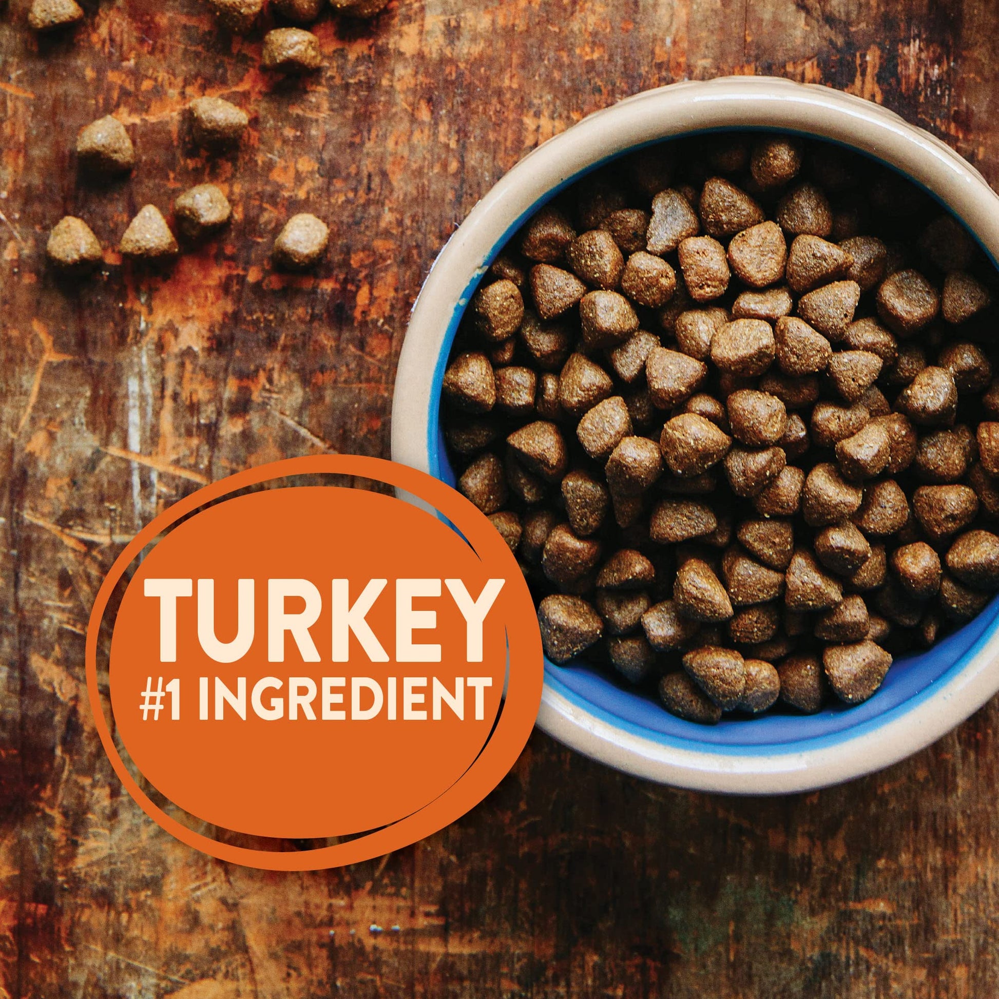Wellness CORE Grain - Free High - Protein Small Breed Dry Dog Food – Turkey Recipe, 4 lb | Natural Ingredients, Made in USA