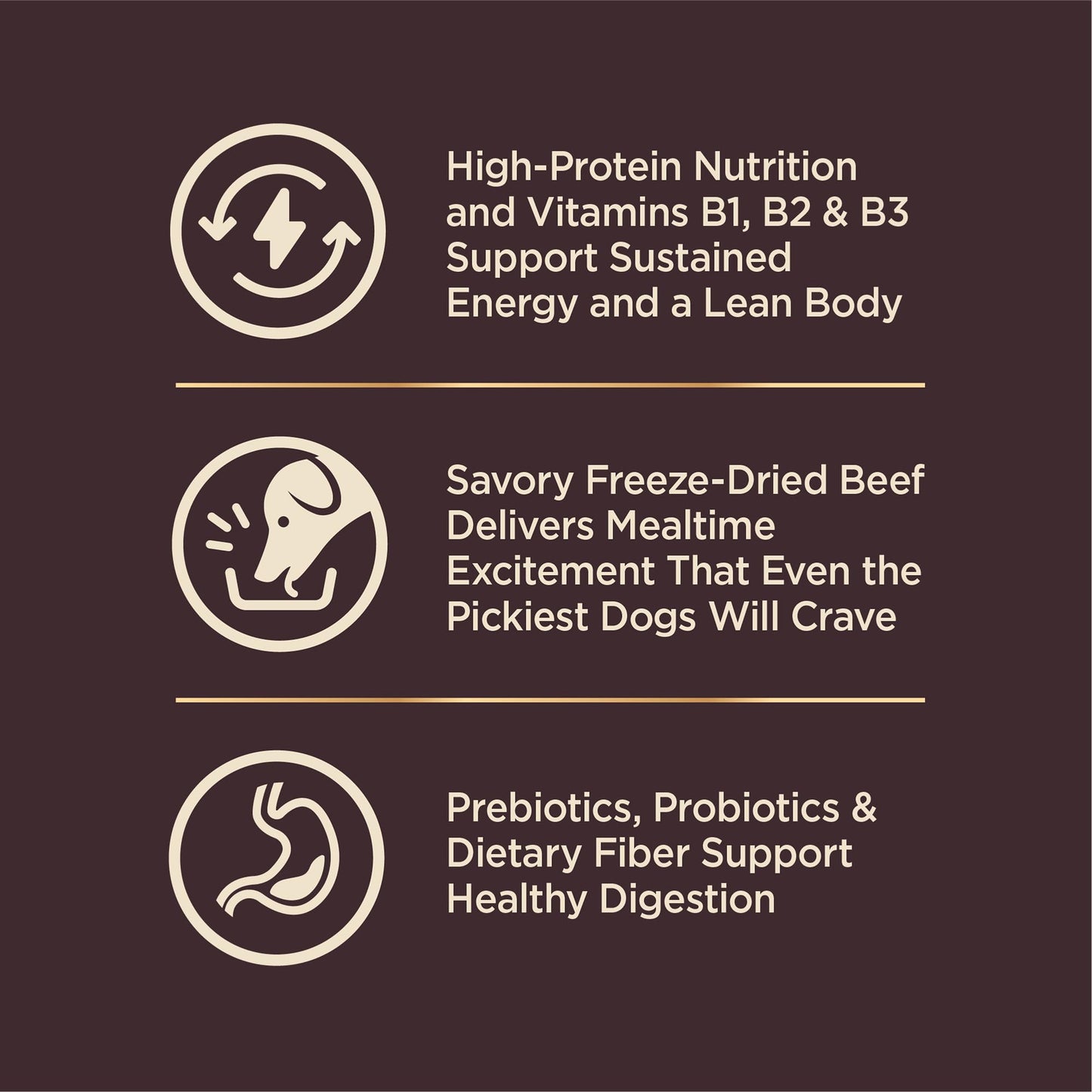 Wellness Core+ Grained Dry Dog Food – Beef & Barley Recipe, 4 lb Bag | High - Quality, Natural Dog Food with Wholesome Grains