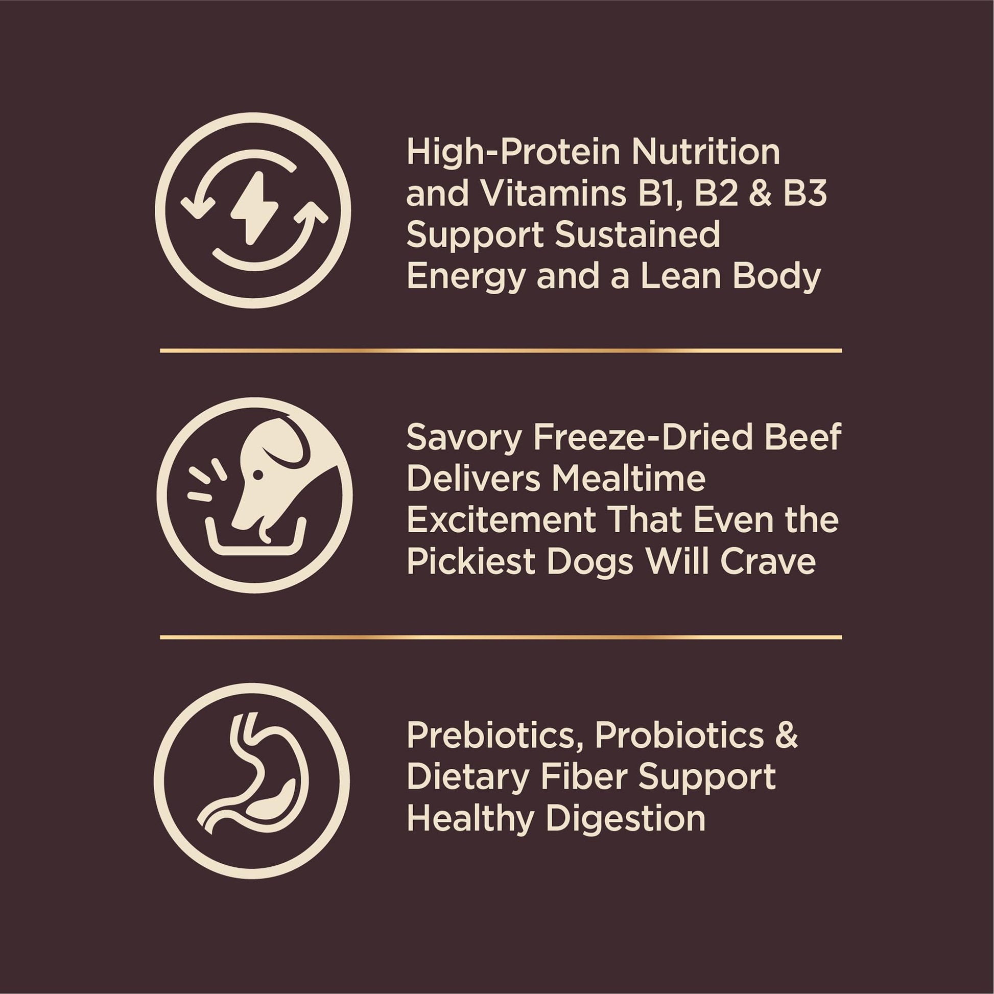 Wellness Core+ Grained Dry Dog Food – Beef & Barley Recipe, 4 lb Bag | High - Quality, Natural Dog Food with Wholesome Grains