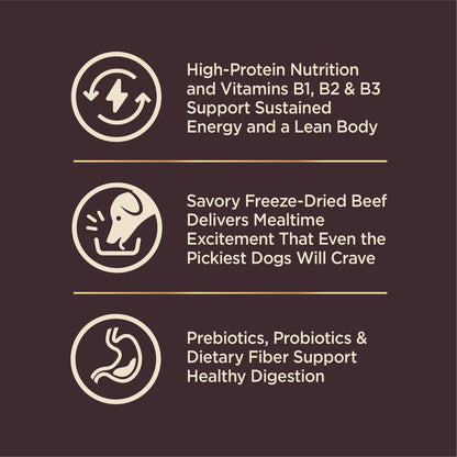 Wellness Core+ Grained Dry Dog Food – Beef & Barley Recipe, 4 lb Bag | High - Quality, Natural Dog Food with Wholesome Grains