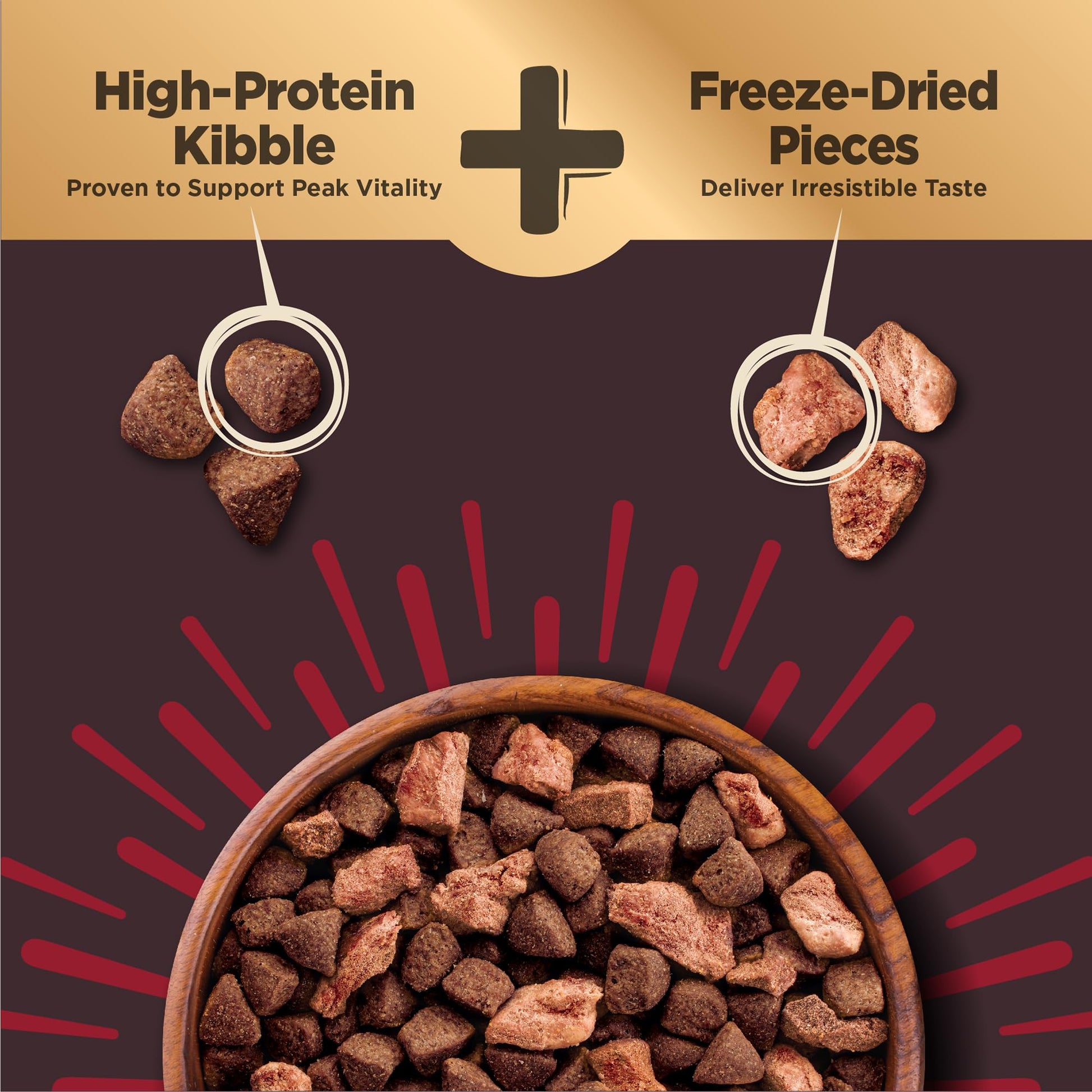 Wellness Core+ Grained Dry Dog Food – Beef & Barley Recipe, 4 lb Bag | High - Quality, Natural Dog Food with Wholesome Grains