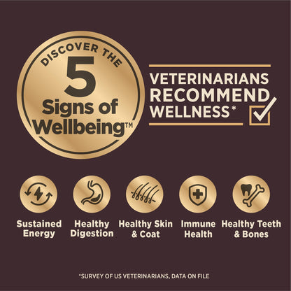 Wellness Core+ Grained Dry Dog Food – Beef & Barley Recipe, 4 lb Bag | High - Quality, Natural Dog Food with Wholesome Grains