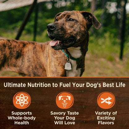 Wellness Core Hearty Cuts Natural Wet Grain - Free Canned Dog Food – Chicken & Turkey Recipe, 12.5 oz | Protein - Rich & Grain - Free Wet Dog Food