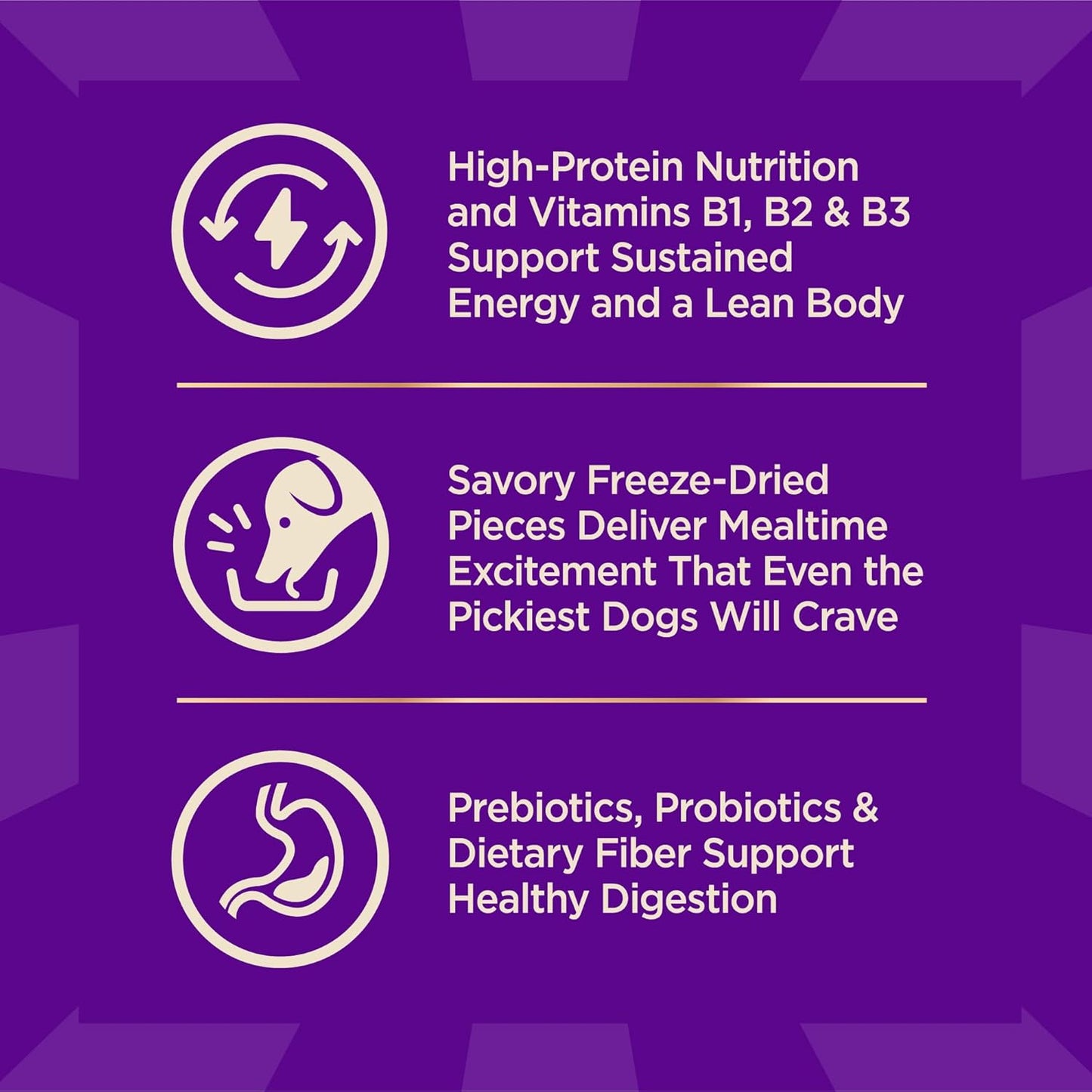 Wellness core plus grain free turkey adult dog food