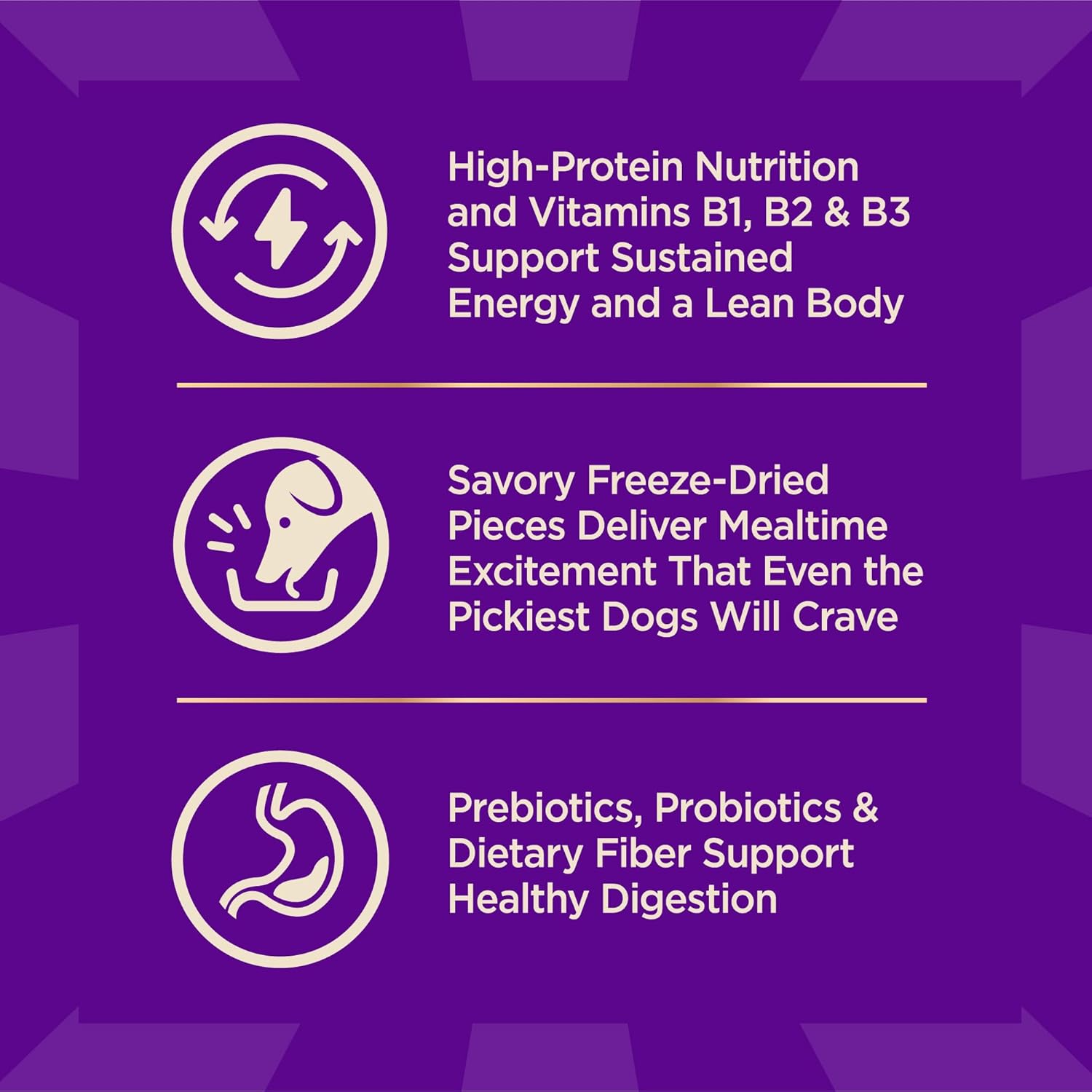 Wellness core plus grain free turkey adult dog food