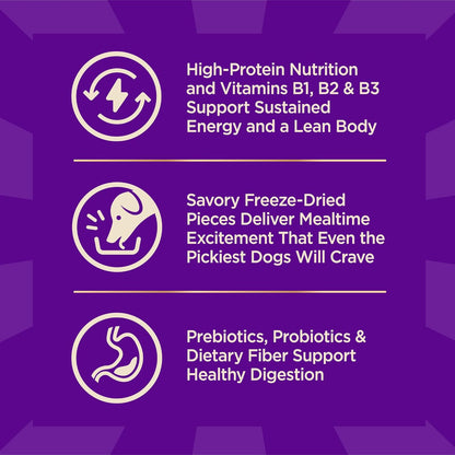 Wellness core plus grain free turkey adult dog food