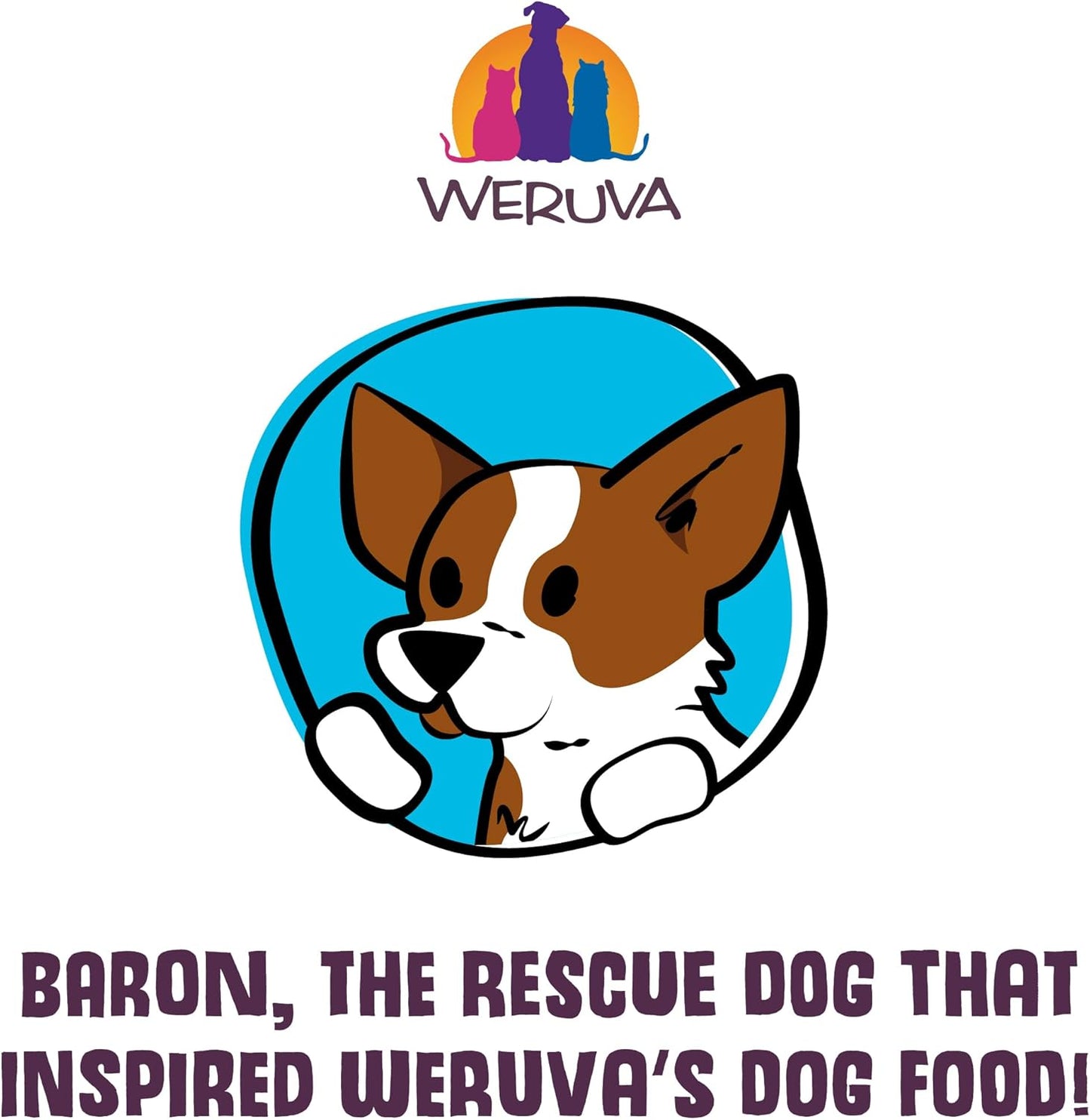 Weruva canned dog food marbella paella with mackerel and pumpkin 14 oz