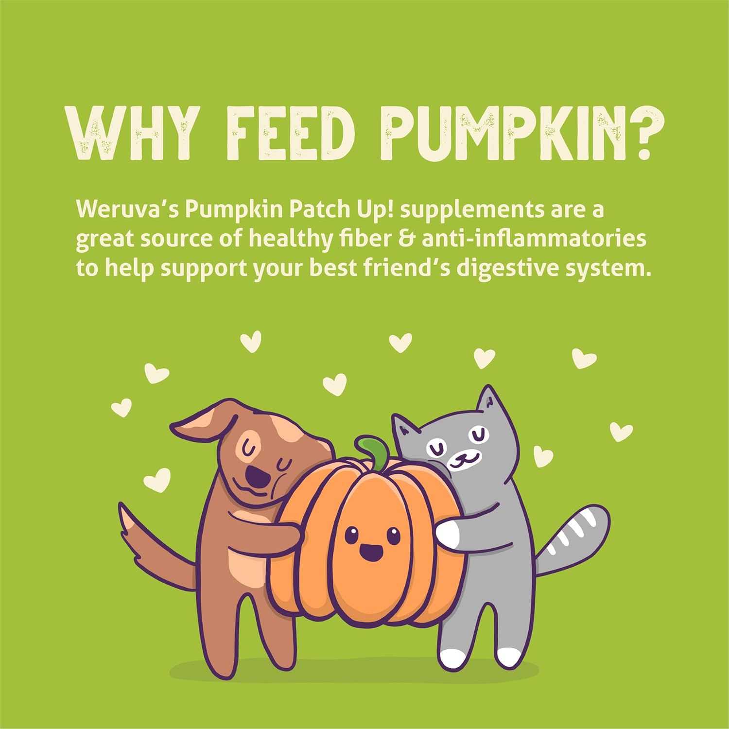 Weruva pumpkin patch up puréed pumpkin for cats and dogs 12 count