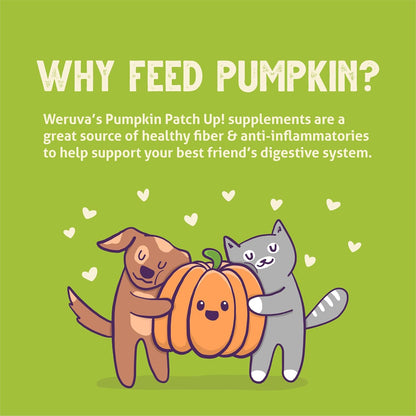 Weruva pumpkin patch up puréed pumpkin for cats and dogs 12 count