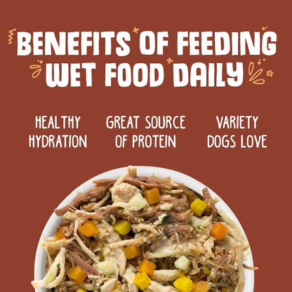 Weruva wok the dog 14oz canned food with chicken, beef and pumkpin in gravy