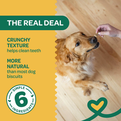 Wholesome natures biscuits 100% all natural pumpkin dog treats 16 oz