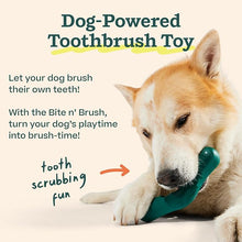Woof bite n’ brush toothbrushing for dogs large