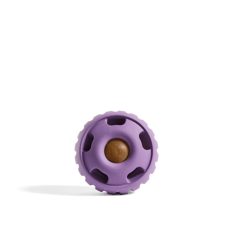 Woof pupsicle L purple
